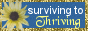 Surviving To Thriving